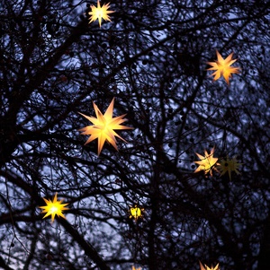 Leuchtende Sterne im Baum