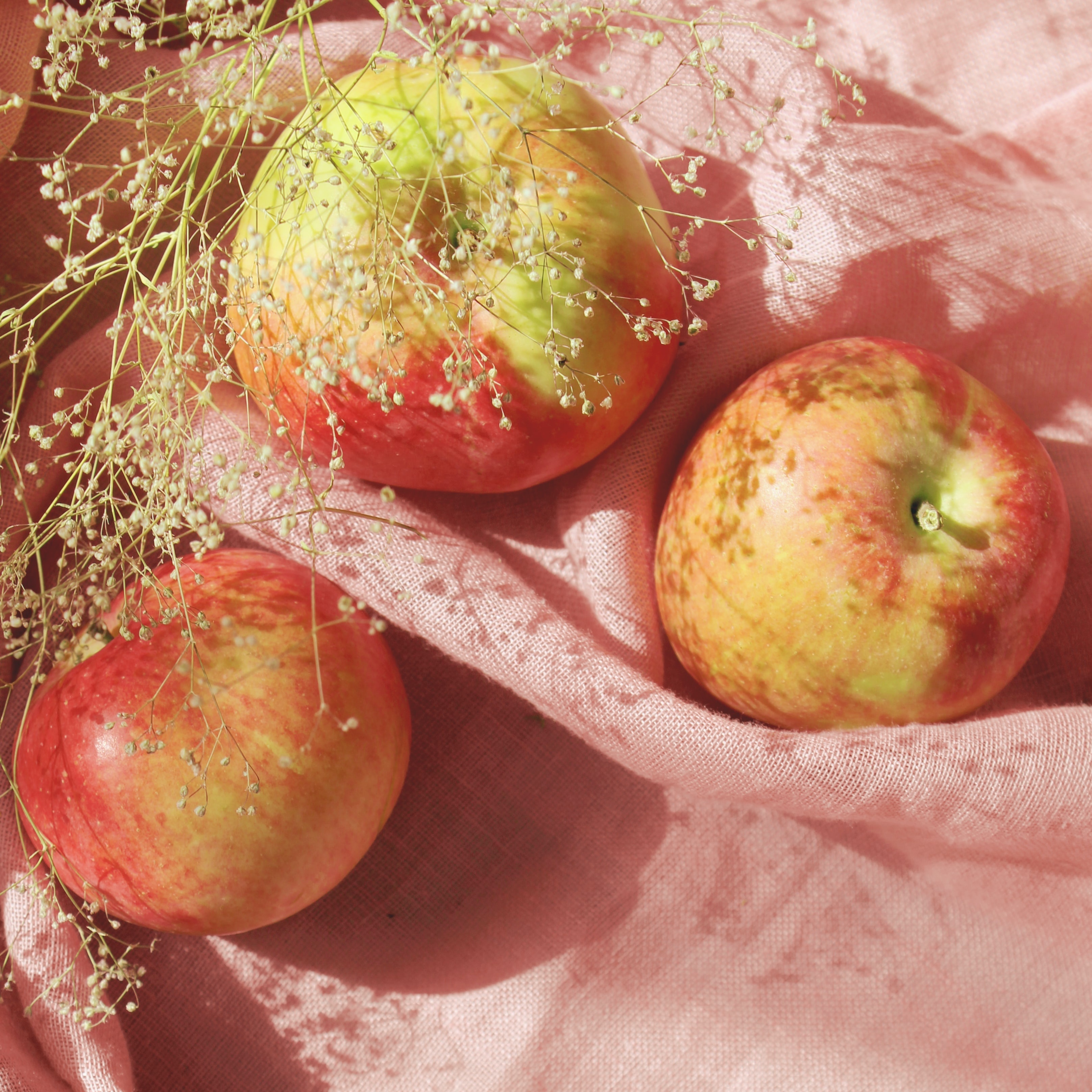 Äpfel auf einem Tuch