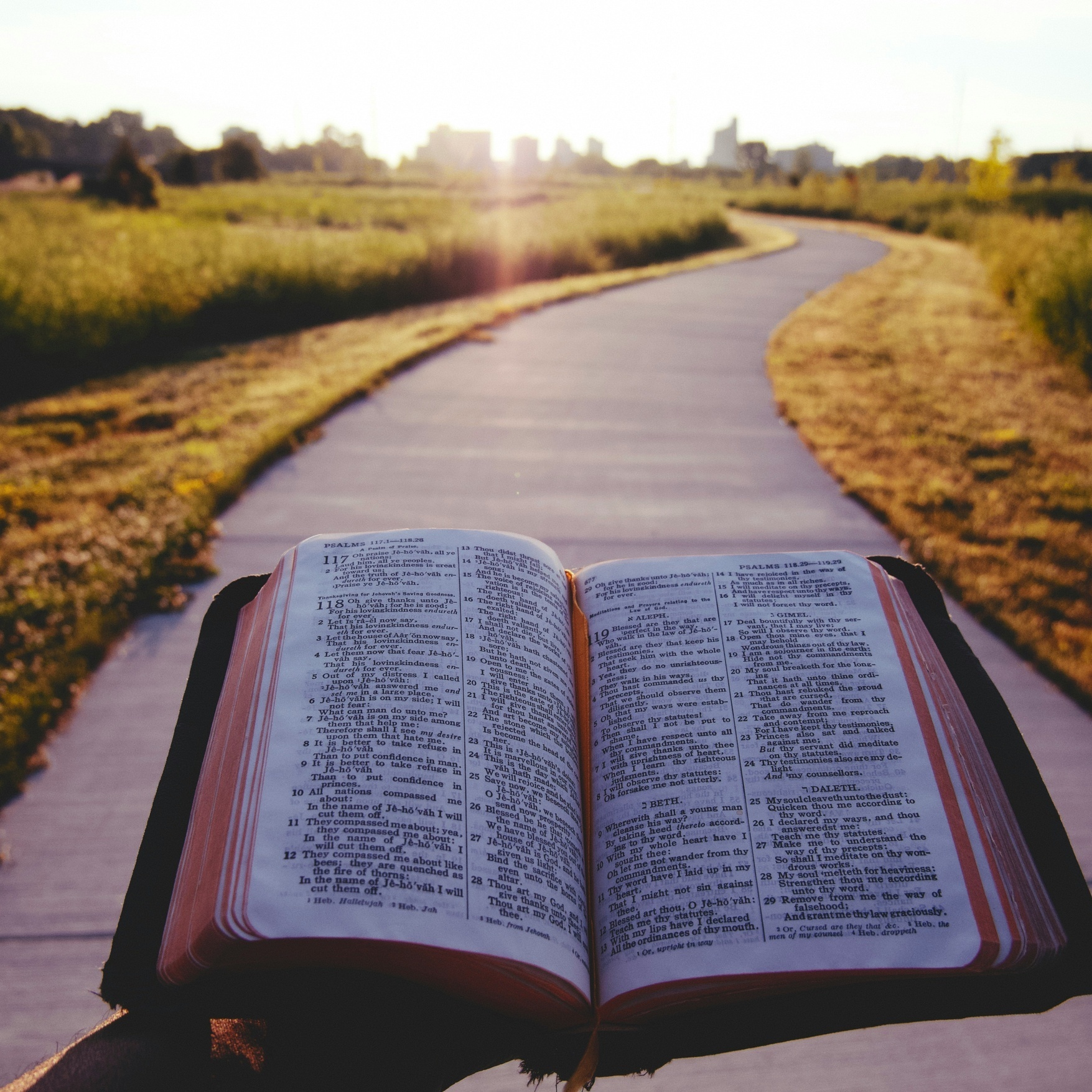 Mensch mit Bibel auf dem Weg