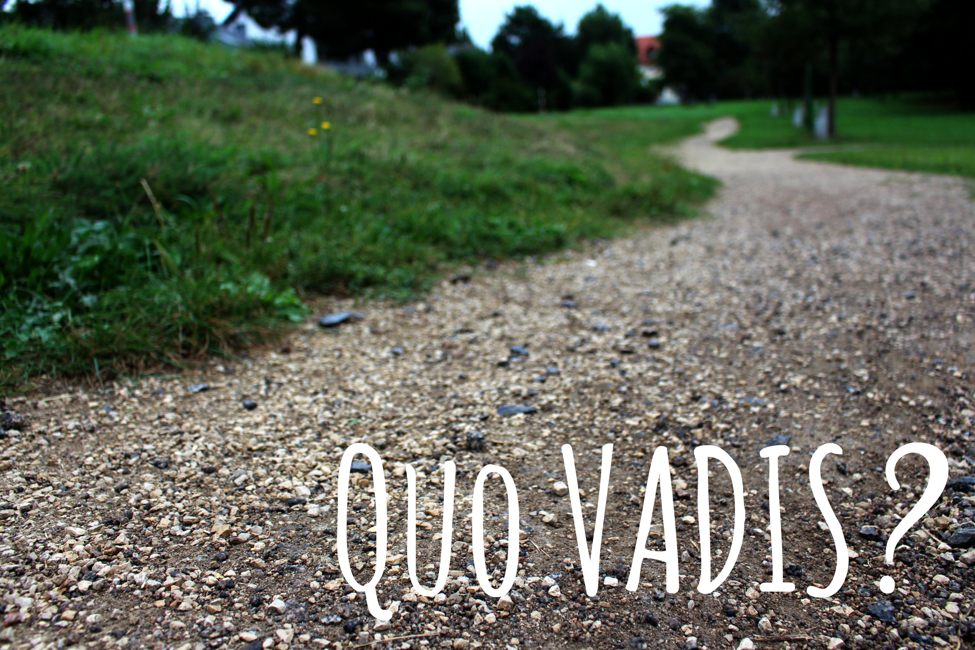 Quo vadis